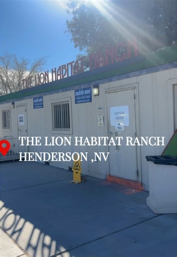 Hilarious Lion Joke at Lion Habitat Ranch