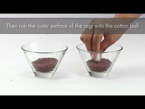 Testing Ragi Adulteration with Rhodamine-B | FSSAI