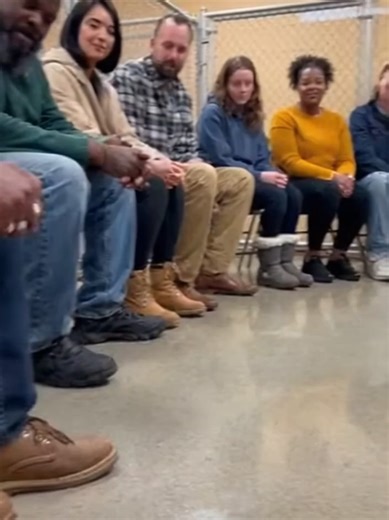 Heartwarming Dog Adoption Story with a Veteran