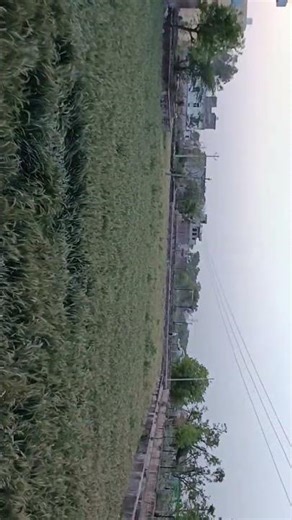 mere gaon ka Mausam# viral short video# trending video