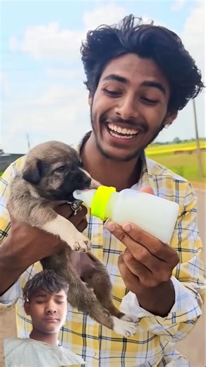 चलती🏍️गाड़ी में kutta🐶बनना?#funny​​ #dog​​ #new​​