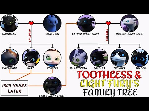 Toothless And Light Fury's Family Tree | How To Train Your Dragon