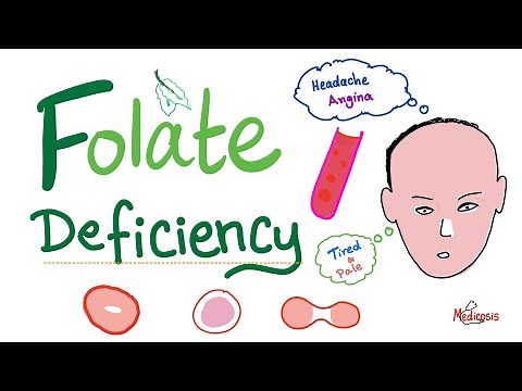 Folate deficiency - Megaloblastic Anemia - Macrocytic - Hematology Series