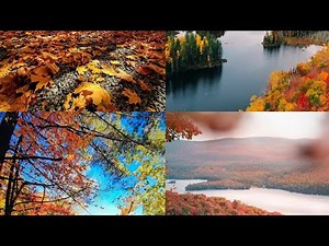 Découvrez le Canada en automne. Un magnifique été indien