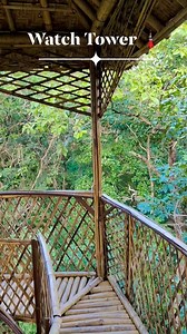 Watch Tower Hathinala Sonebhadra 🌴 #biodiversityparkhathinala #hathinalapark #reel #reels #fbreels #reelsvideo #shorts #anilkushwaha #sonebhadrabeautynature | Sonebhadra Beauty Nature