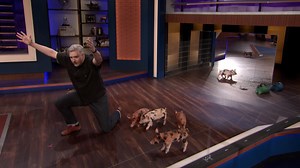 26K views · 337 reactions | After the U.S. refuses to meet Canada's demands, Conan's only Canadian writer has no choice but to release the hogs. #CONAN | Team Coco | Facebook