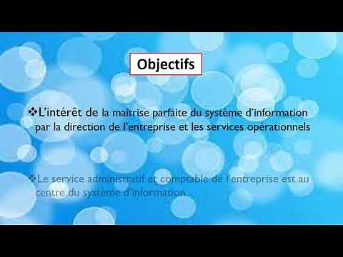 Système d'information comptable partie 4: Acteurs du système d'information comptable