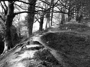 Dave Hum - Monaghan's Jig (2)