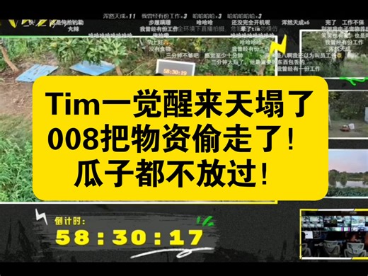 Tim岛上生存第三天，Tim起来天塌了，东西被008偷走了，瓜子啥的都不放过！《全过程弹幕》