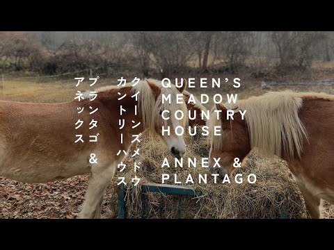 道草のはじまり 〜 馬とともに、わたしをひらく旅