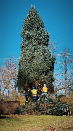 89K views · 448 reactions | Crews have been hard at work preparing a...