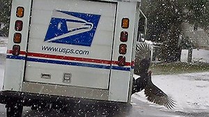 Curious Cape Cod: A wild turkey tale, starring the Kennedys