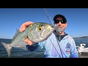 Caboolture River mouth Taylor and Flathead on Madmic's Soft Plastics