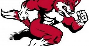 Byrd drives in 5 as Hartsville softball routs Lakewood and other high school recaps