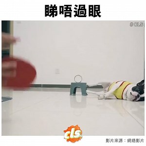 9.7K views · 532 reactions | 睇唔過眼 ----------------- Like ＆ See First  IG：https://instagram.com/cls_chilsin YouTube：https://youtube.com/c/CLS痴L線 #每日服幾片 #CLS | CLS | Facebook