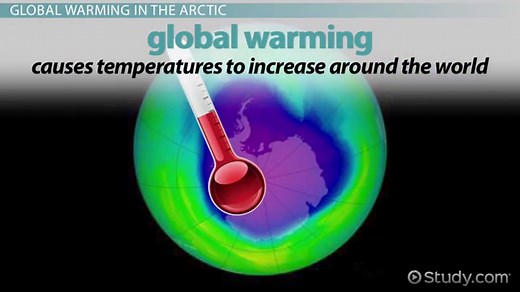 Why are Polar Bears Endangered? - Lesson for Kids