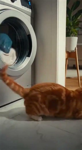Scaring washing machine