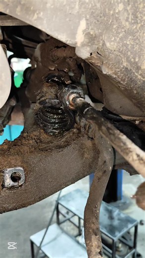 Mechanical Tricks on TikTok