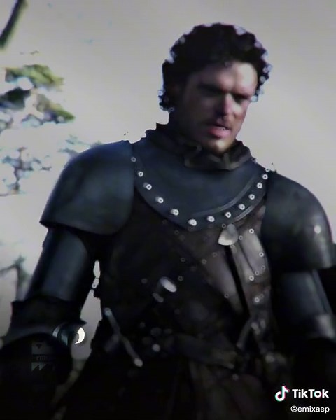 Richard Madden's Portrayal of Robb Stark in Game of Thrones