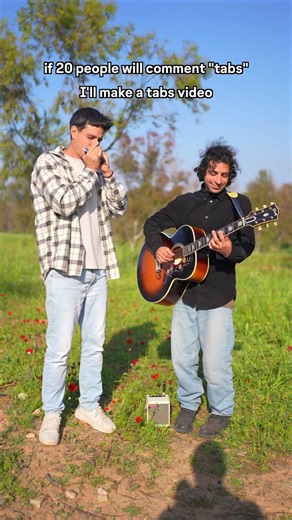 Stairway to Heaven - Harmonica (who wants tabs?)