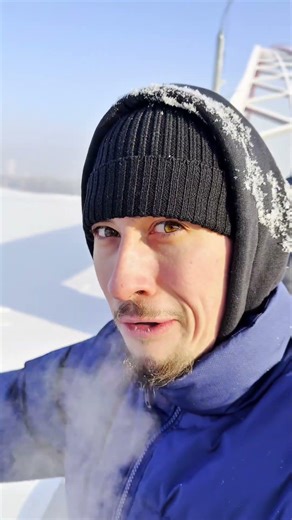 Cat Mode Used My Phone As A Vantage Point 🙀💕