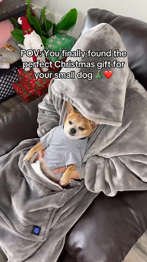 The absolute best dog gift😭 #dog #smalldogs #doglover | ToastyHoody