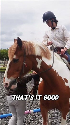 Western Riding Is More Technical Than It Looks #equestrianjourney #equestrian #horse
