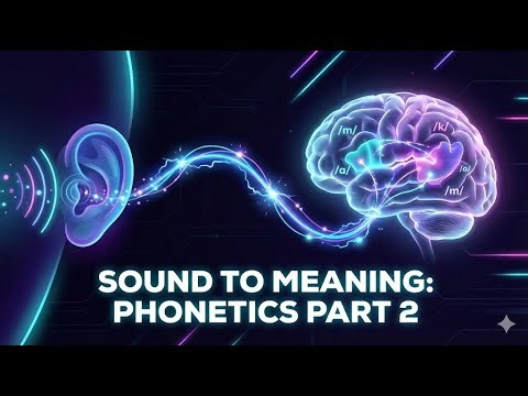 How We Actually Hear: From Vibration to Meaning #facts #sciencofhearing #phonetics #anatomyshorts