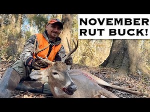 November RUT BUCK Comes In by Surprise— My Birthday Buck!