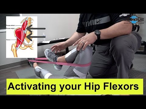 Activating your Hip Flexors