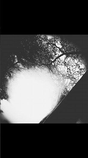 These cameras will make you love abstract street photography