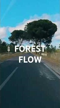 This Forest Road in Portugal Feels Unreal #motorcycleadventure #shorts