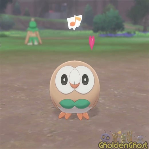 Rowlet Cuteness! 🦉💚 #pokemon #rowlet #decidueye #browt #goober #pokemonswordshield #owls #birb