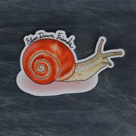 Snail Waterproof Matte Sticker With “slow Down Friends” Quote - Etsy