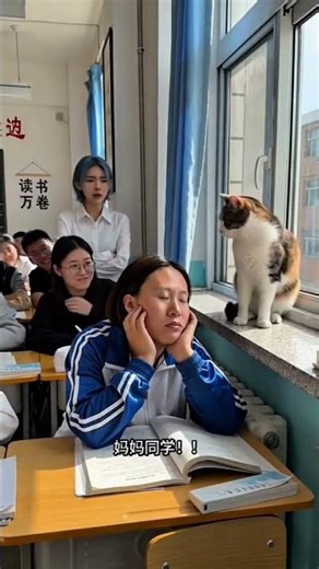 Classroom Daydream Gone Wrong 😂 | Funny Cat Interrupts Student #shorts