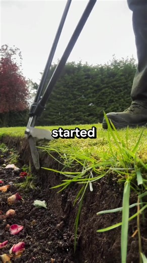 Wife's Pool Outfits Spark Doubts: A Date Update Drama