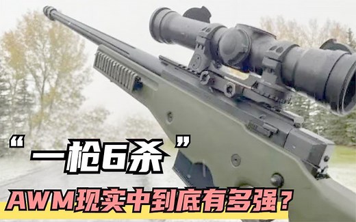 AWM到底有多强？创下最远狙杀世界纪录，一枪干掉六个