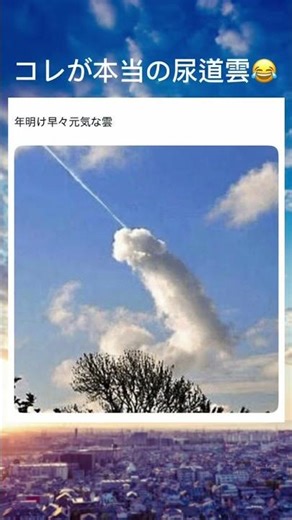 何に見える？😂#funny #おすすめ #memes #面白い