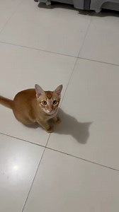 Binata na nga mochi.." | Moma Reny-Ann