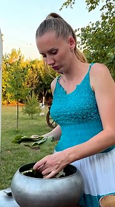 Epic Outdoor Cooking Feast Giant Rustic Dishes Over Open Fire Part 4 #asmr #cooking #garden #food | Barbara Jackson