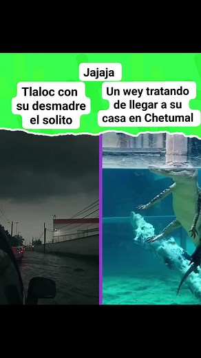 #viral #Chetumal @destacar | Angel Torres