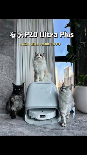 石头（roborock）扫地机器人 P20 Ultra Plus 扫拖洗烘一体机 自动集尘热水洗拖布擦地拖地洗地机吸尘器 A2250RR