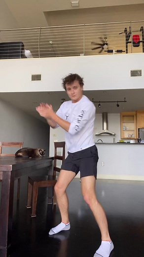 Claire (the prettiest cat in the world) is over it. DC: @nickanthonyy