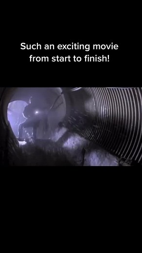 The Fugitive (1993) Director: Andrew Davis #movies #moviescene #film