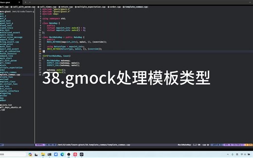 高效工作学习-gmock处理模板类型