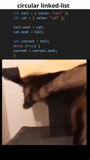 𝐆𝐞𝐧𝐢𝐮𝐬𝐂𝐨𝐝𝐢𝐧𝐠 on Instagram: "Frontend Backend Perfect Harmony!! . . Do Like 👍 & Comment Share 🔄 . . Follow for more @genius.coding ✨✨ . . #programming #coding #programmer #python #developer #javascript #technology #code #java #coder #html #computerscience #software #tech #css #webdeveloper #webdevelopment #codinglife #softwaredeveloper #html #javascript #geniuscoding"