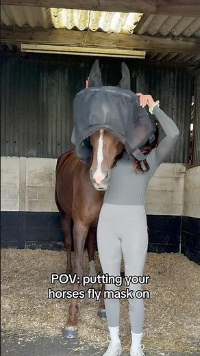 Bat horse 🦇#horse #batman #equestrian #horsegirl #youtubeshorts #horseriding #fyp #equestrianlife