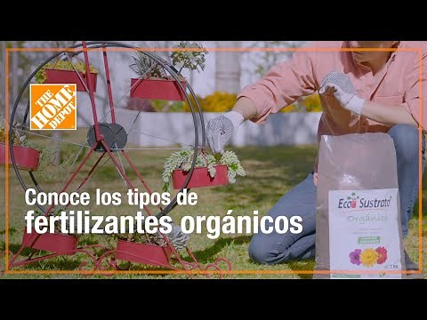 Conoce los tipos de fertilizantes orgánicos
