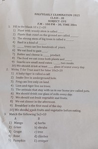 Halfyearly Examination 2025Class: IIISubject: EVSFull Marks:... | Filo