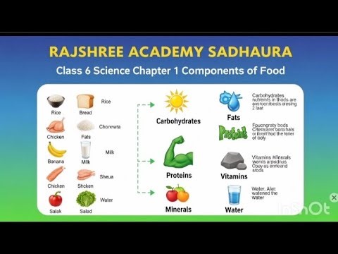 Ncert Class 6 Science chapter 1 भोजन के घटक